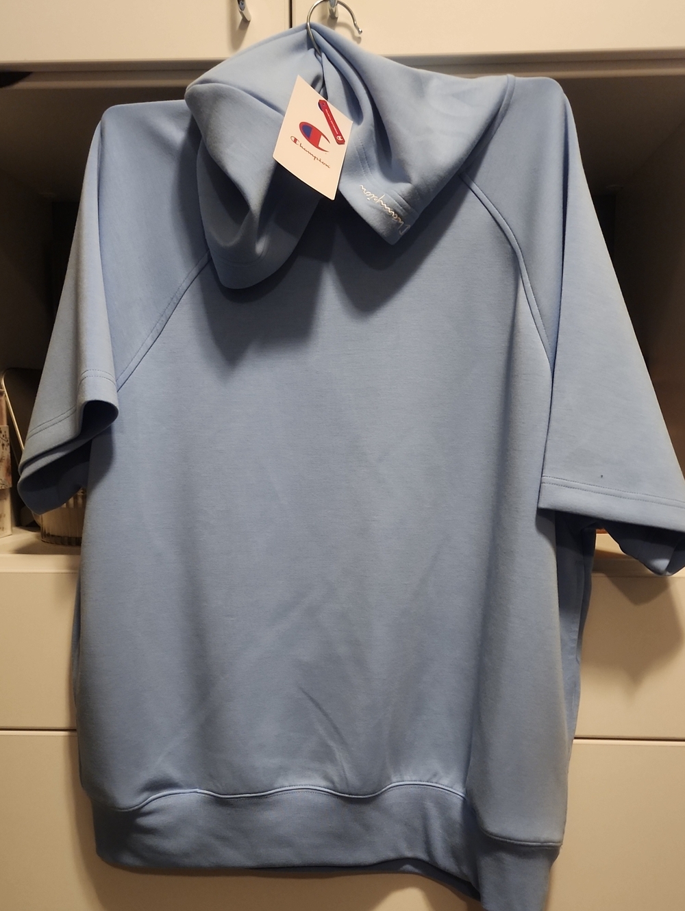 Champion Light Blue Men's Short-Sleeve Hoodie